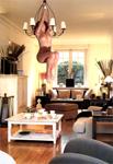 suspension