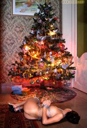 l'arbre de Noël
